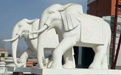 石雕大象適合擺放在哪里？